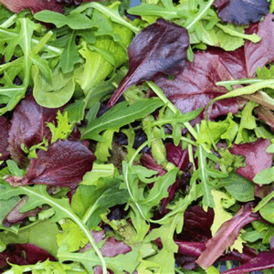 Mesclun