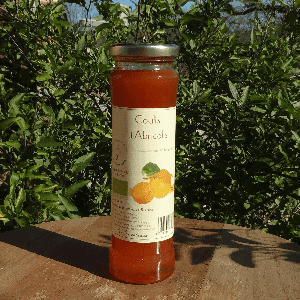 coulis d'Abricot 21 cl