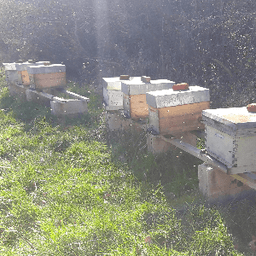 Nectar et comparse #4