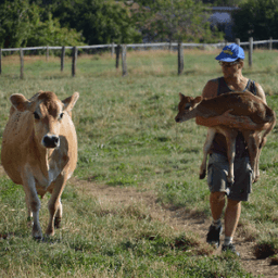 FERME DES CHAMPS FLEURIS #8