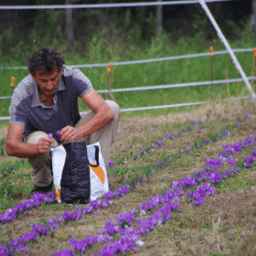 Safran Bio du Lauragais #8