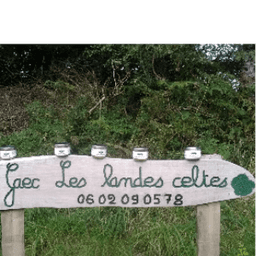 Les Landes celtes #4