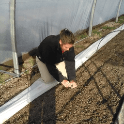 Le Croc'Légumes #0
