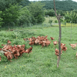 La Ferme d'à côté #2