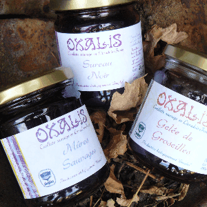 Gelée de sureau noir