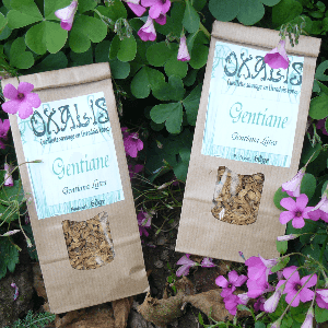 tisane Gentiane