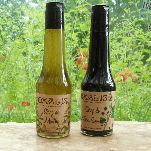 Sirop  Gentiane