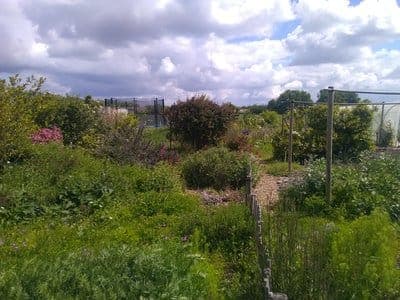 Le Jardin de TerreNeuve