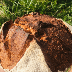 Tourte complète 500g