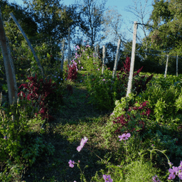Les Jardins de la Lupte #7