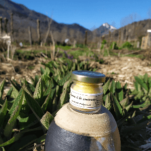 Baume à la consoude