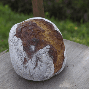Tourton (pain brioché)