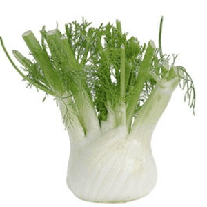 Fenouil