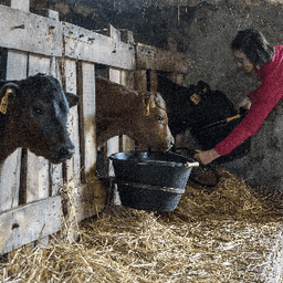 Ferme Le Fort Manoir Laurent Bodin #2