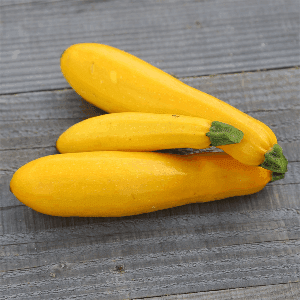 Courgette Gold Rush