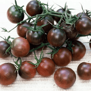 Tomate Cerise Black Cherry