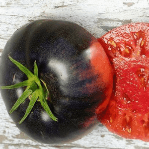 Tomate Tom Wagner Violet