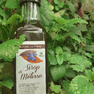 Sirop de mélisse