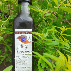 Sirop de verveine citronnée