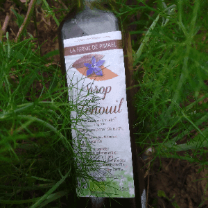 Sirop de fenouil