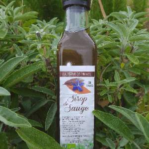 Sirop de sauge