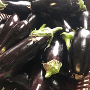 Aubergine