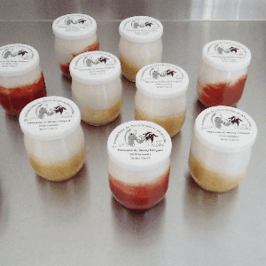 Fromage blanc sur confiture de fruits