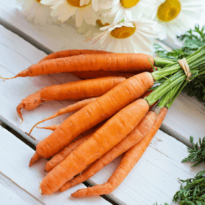 Carottes vrac - producteur partenaire AB (Pays de la Loire)