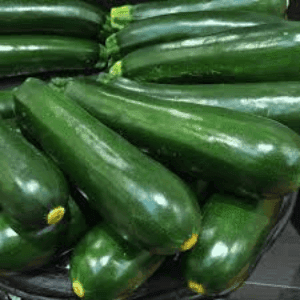 Plant Courgette "verte Black Beauty"