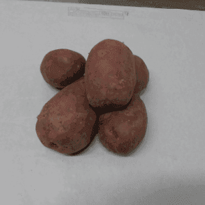 pomme de terre