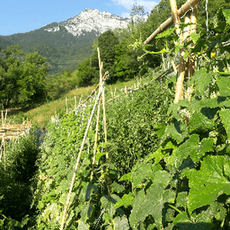 Les jardins du Moucherotte #2