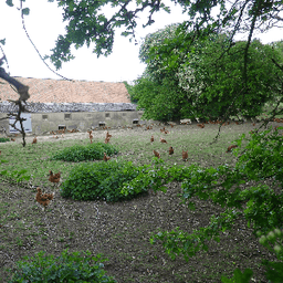 Ferme Le Fort Manoir Laurent Bodin #4