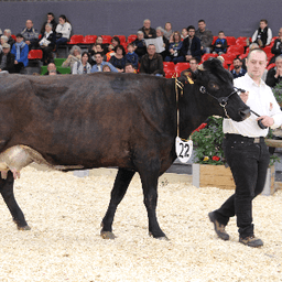 Ferme Le Fort Manoir Laurent Bodin #8