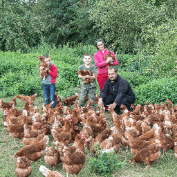 Ferme Le Fort Manoir Laurent Bodin #1