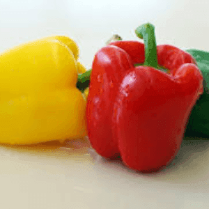 plants de poivron
