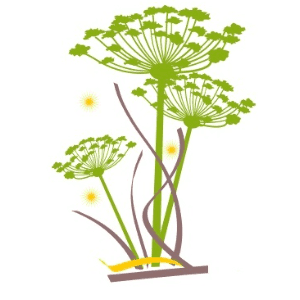 Logo de Le Jardin Du Moulin Des Joncs