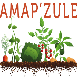 Logo de AMAP'ZULE