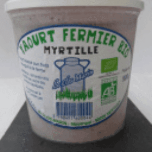 Yaourt brassé bio Myrtille