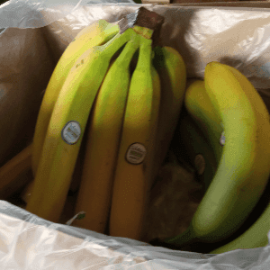 bananes (Equateur)