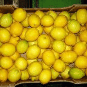 citrons