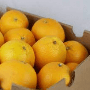 oranges (Espagne ou Italie)
