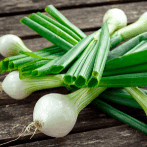 Oignon Blanc frais en botte