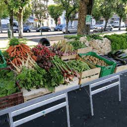 Le jardin de machal #7