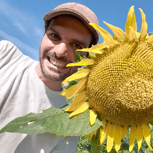 Les légumes des Chlorophy-liens