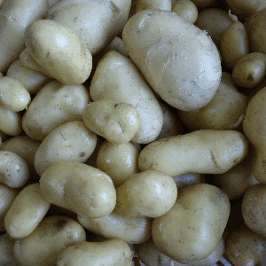 Pommes de terre Nouvelles