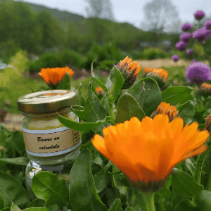 Baume calendula