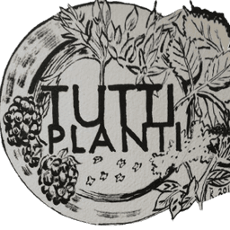 Logo de Tutti Planti - Retrait à Saint-Aubin-sur-mer