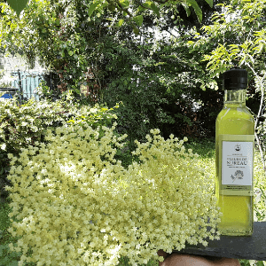 Sirop