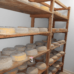 Fromagerie Le Petit Trèfle #5