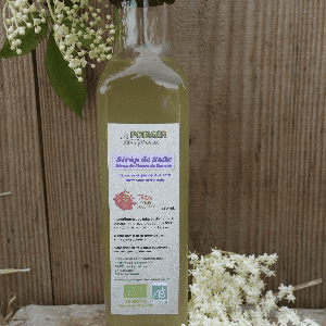 Sirop de fleurs de sureau